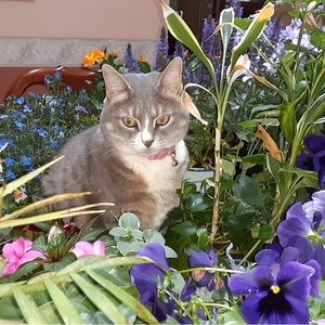 Meet your Posher, Debbie